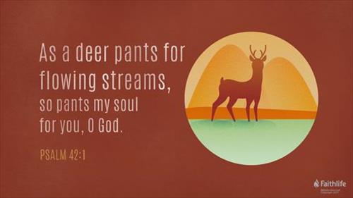 Verse of the day